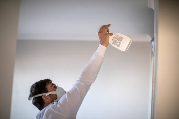 Best Mold Remediation  in Erie, IL