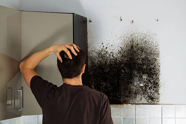 Water Damage Restoration in Erie, IL